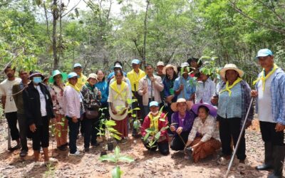 พลิกฟื้นป่าชุมชนบ้านอู่โลก: เพาะเห็ดป่า สร้างอาชีพ สร้างความยั่งยืน